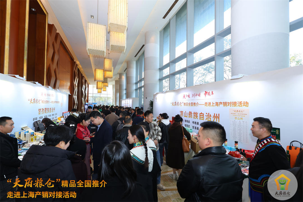 博览观察|一场推介会的的背后：国企担当和经济发展的“碰撞”