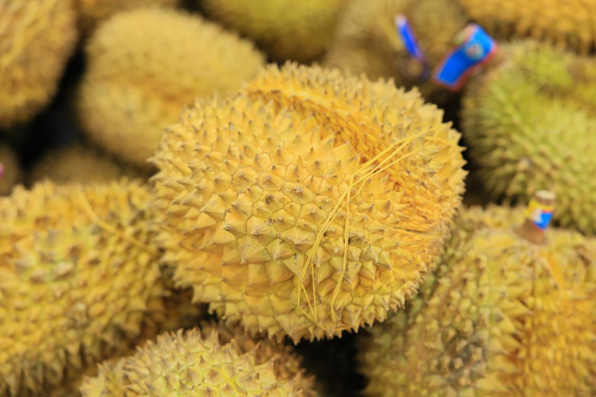 efab3a9b-172e-4085-b598-87aa013b58d1